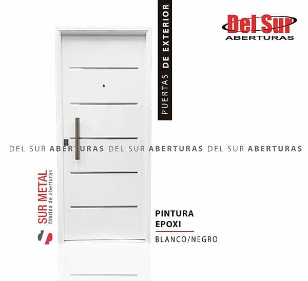 Puerta Epoxi Sur Metal 300